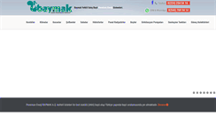 Desktop Screenshot of baymakbursa.com